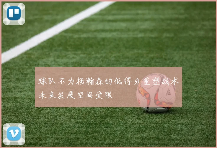 球队不为杨瀚森的低得分重塑战术未来发展空间受限